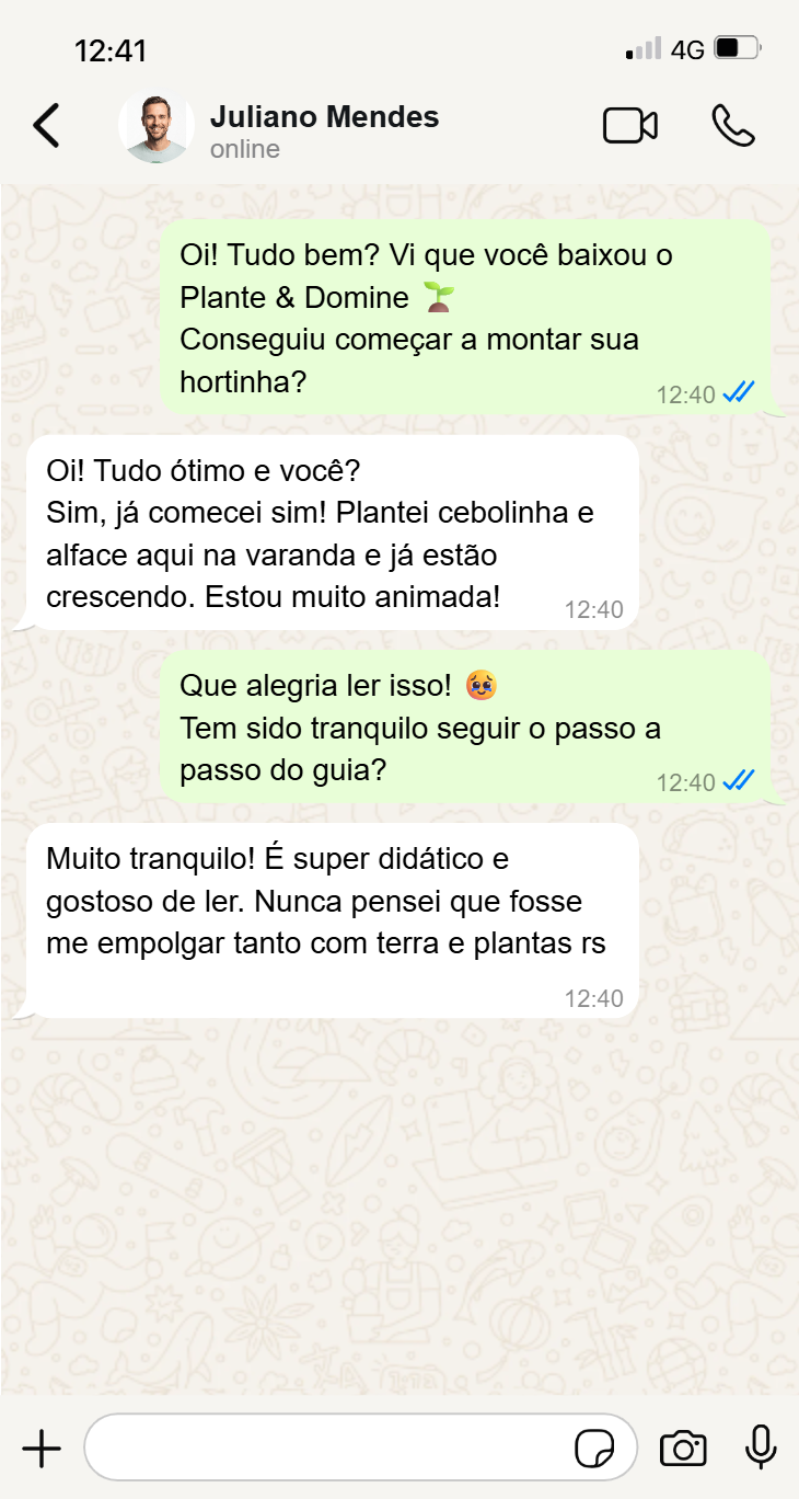 Conversa WhatsApp - Vanessa Ribeiro